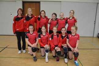 Talvella 2014 D-ikäisinä C-turnauksessa