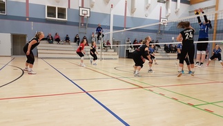 Elisan iskukäsi käy